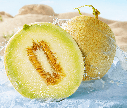 免费请你吃戈壁白兰瓜一口甜到家还有高老九火锅开业49折吃起来