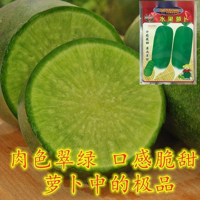这两款萝卜种极具特色外观亮丽口感甜脆农户试种下