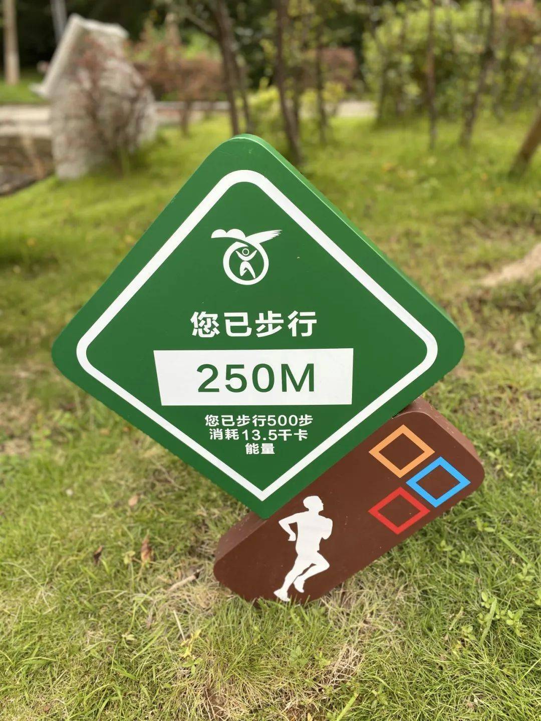 阆中新增一个公园,在你家门口吗?