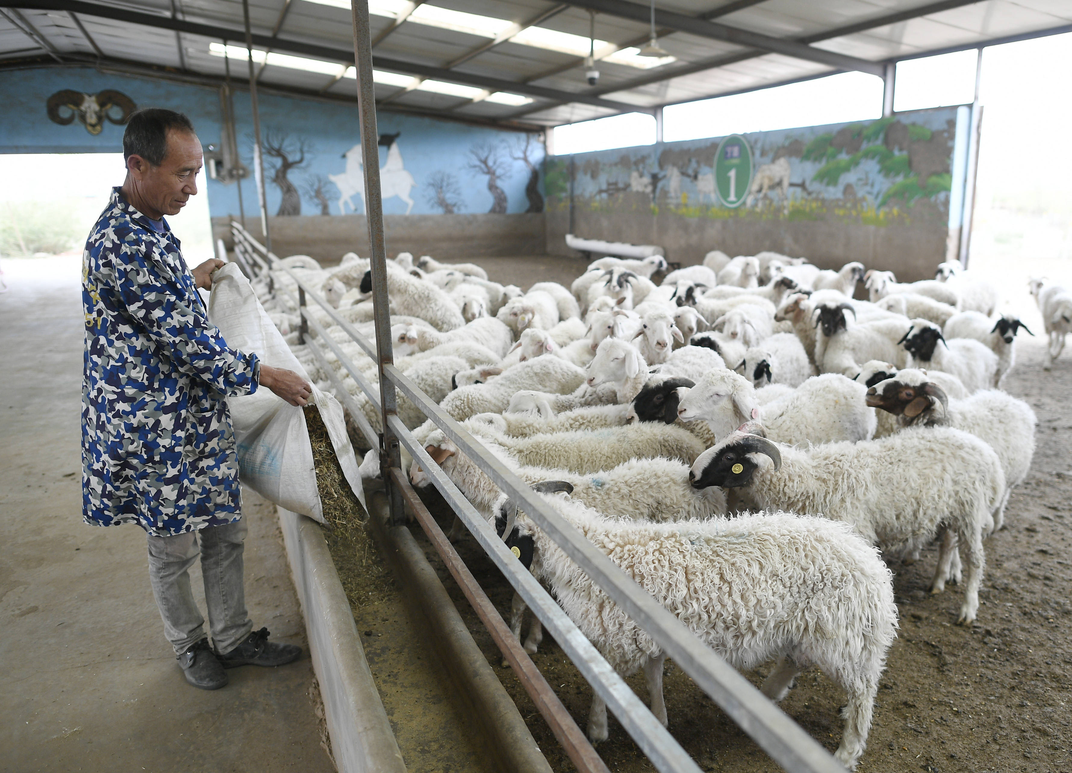 西海固换了新模样