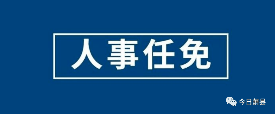 新任命一名政府副县长!萧县人民代表大会常务委员会发布多条人事任免
