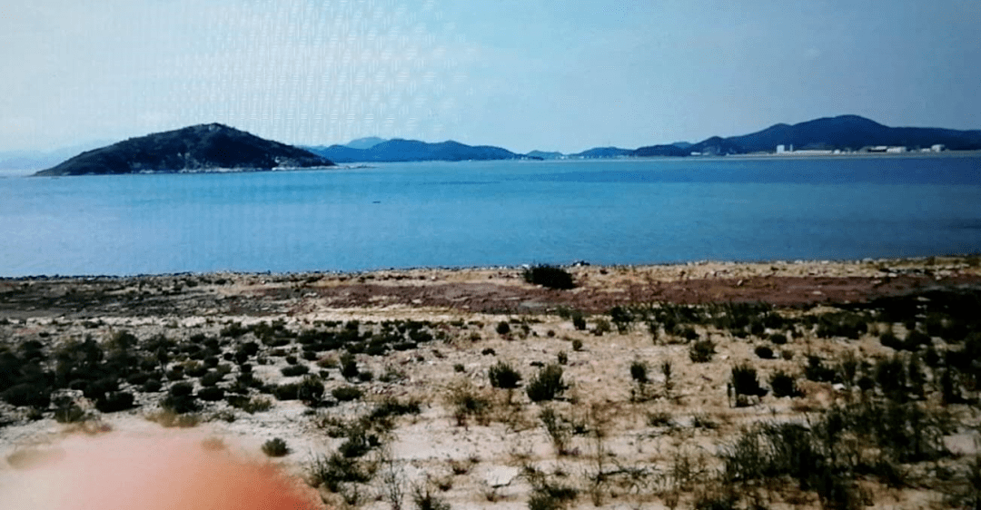 浙江2名男子海边拾贝类时身亡,原因太意外._白马礁