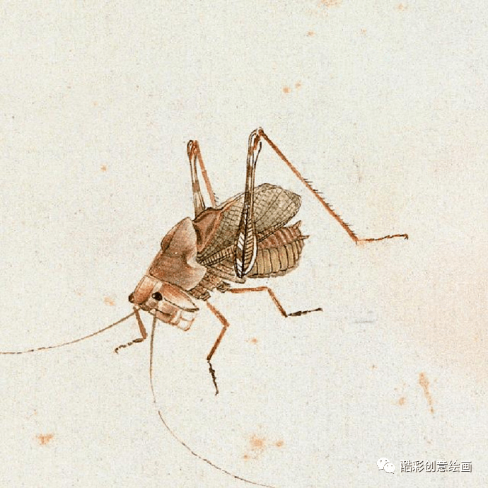 齐白石昆虫作品细腻惊艳