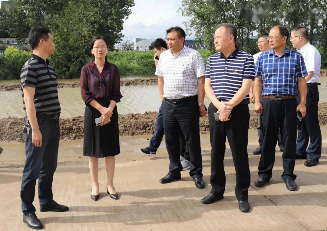 【园区新闻】曹明丽带队到开发区检查市重点项目推进情况_手机搜狐网