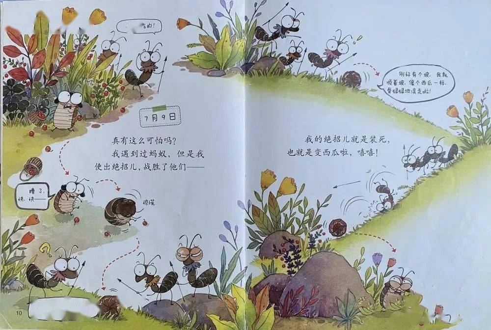 给小朋友的睡前故事丨西瓜虫的日记