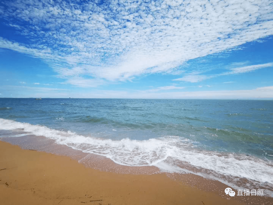 天空晴朗,万物可爱,这样的日照我爱了!