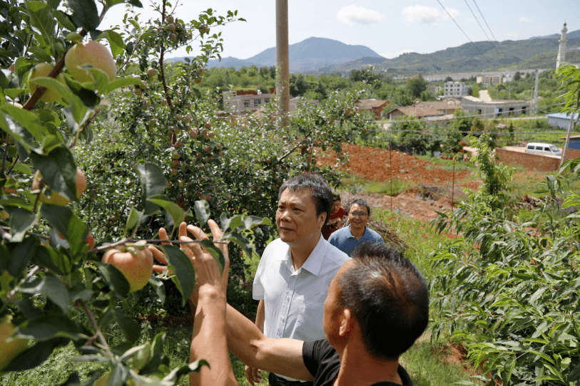 东莞中堂镇委书记叶沃昌率队到鲁甸县对接扶贫协作工作