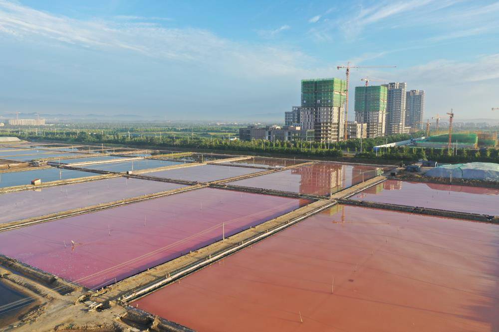 威海南海新区:盐田活碴忙_作业