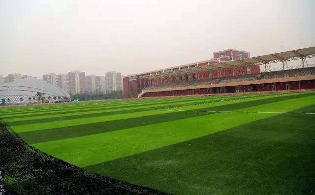 欢迎后浪扬帆入海杨村一中文化篇