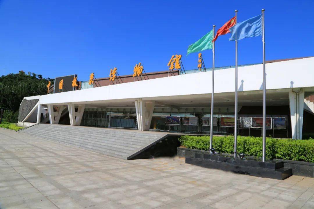 中国板栗博物馆共分为四大部分,分别为中国板栗篇,迁西板栗篇,中国