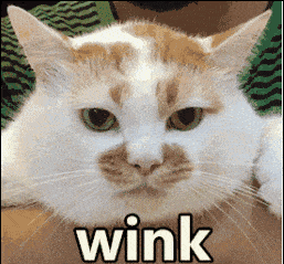 257_239gif 动态图 动图