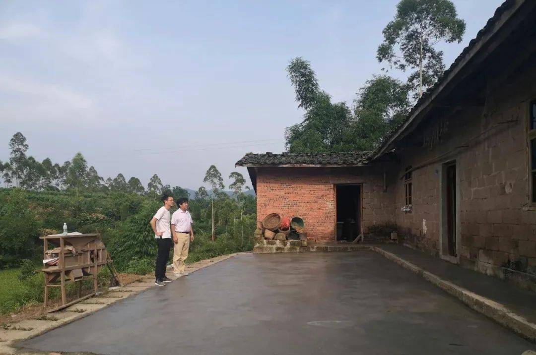 硬化后的水泥晒坝硬化前被雨水侵蚀的泥土晒坝这下再也不愁没有晒