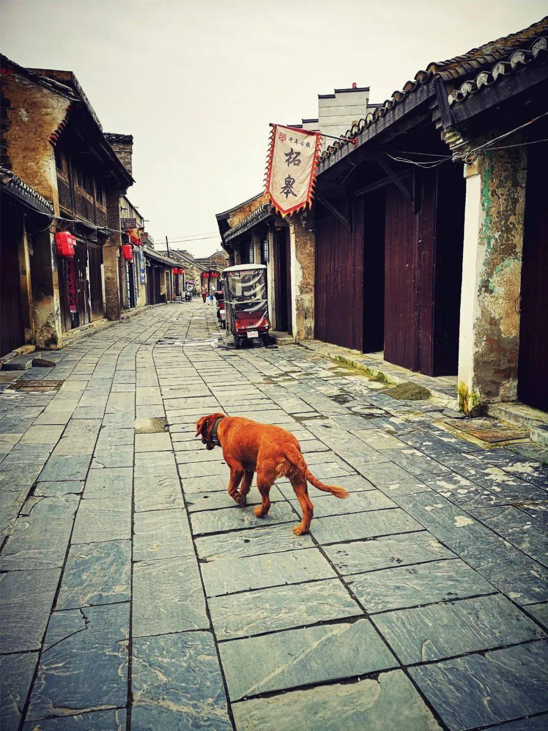 千年古镇巢湖柘皋一一北闸老街的新与旧