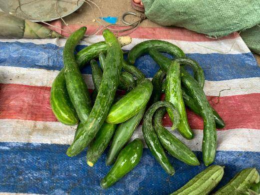 三伏天遇到这种黄瓜别手软一次性腌10斤特解馋别不懂了