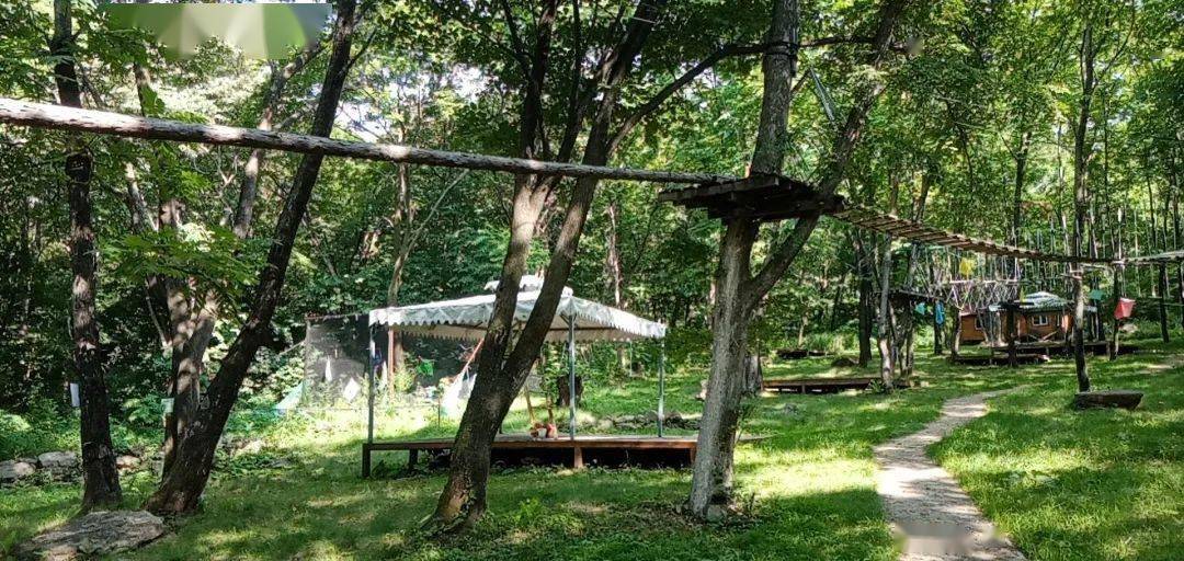 被4a级景区"衬托",这个小村庄a爆了!