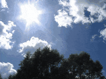 有一地飙到44.2℃!气温计爆了表.