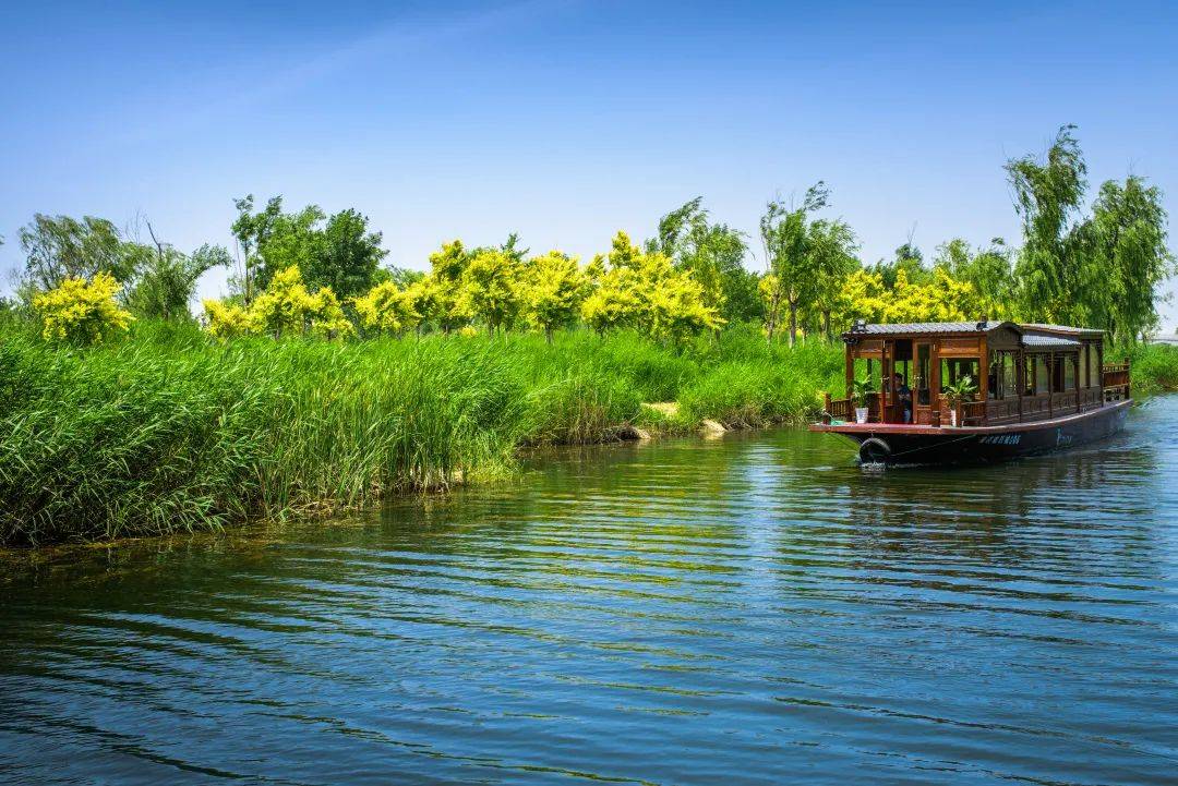 济西湿地——长江以北最大的城市湿地