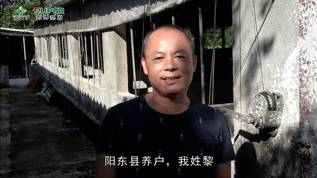 非瘟下强势"逆袭",这个老板不简单!_李老板