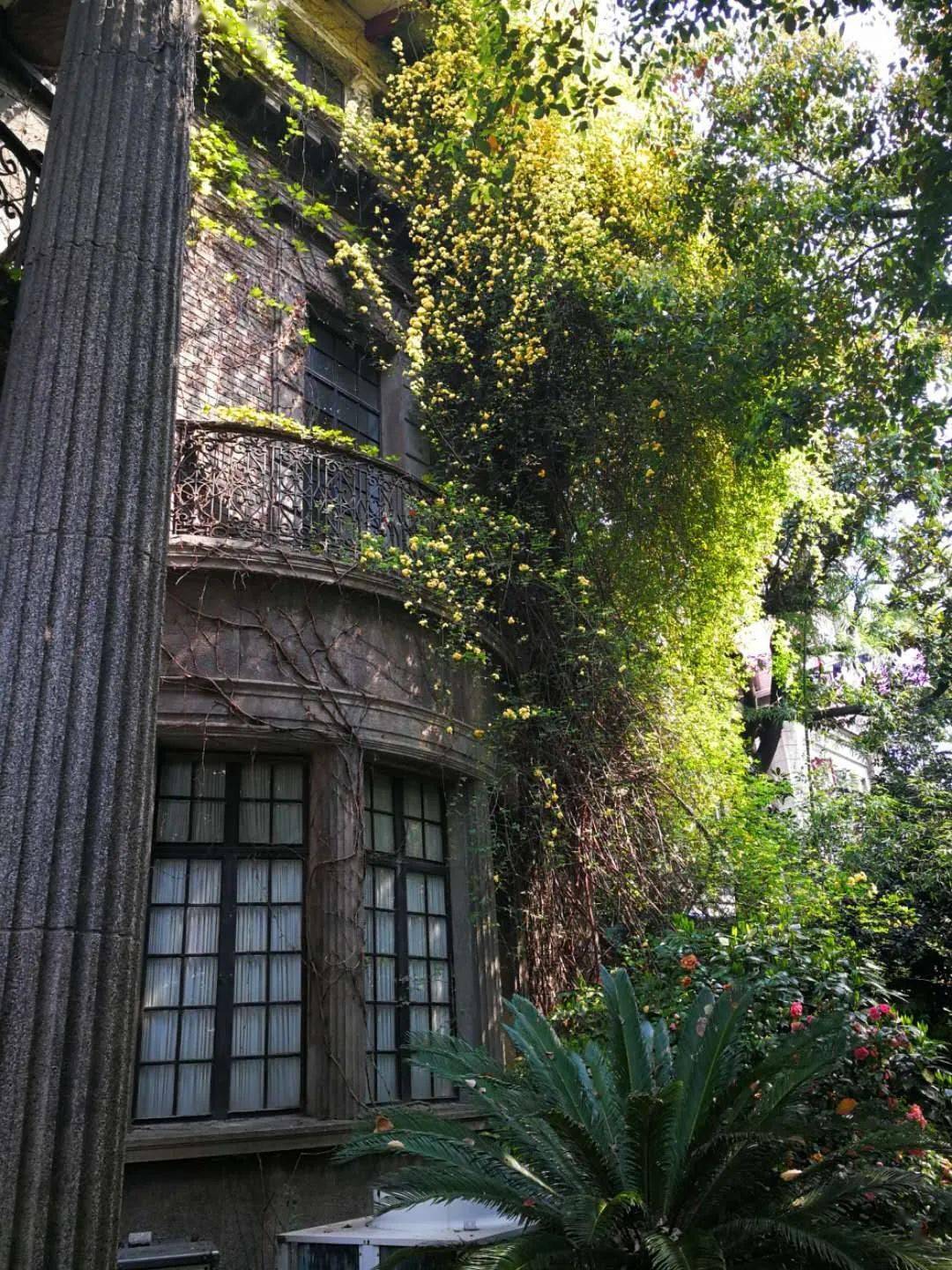 《收获》杂志所在地:上海巨鹿路675号