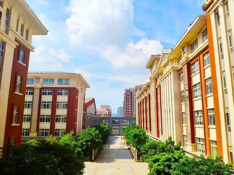 一中语文老师拍了拍你并喊你一起过来玩