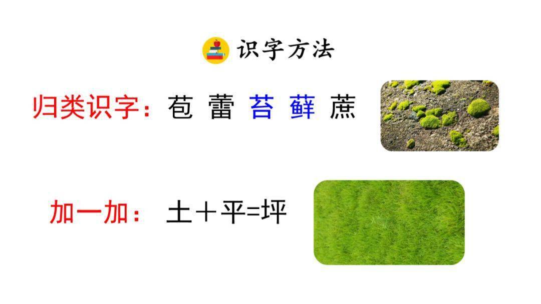 知识点01我会组词棚:péng(棚架,工棚,凉棚)苔:tái(苔痕,苔原,青苔)