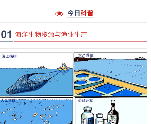 资源与油气开发,海水化学资源及其开发利用,海洋动力资源及其开发利用