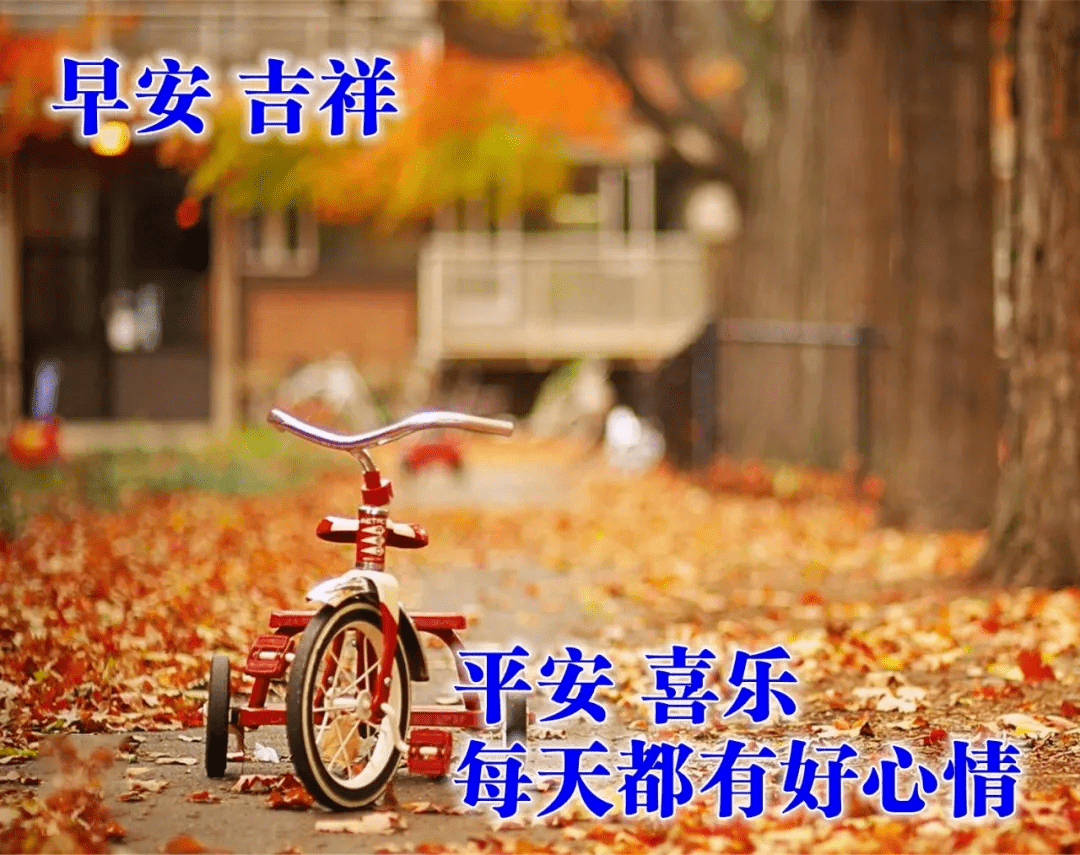 大家早上好问候语图片表情专辑早晨最经典的早安祝福语带图片