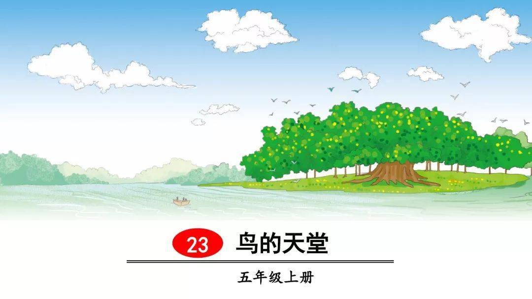 《鸟的天堂》知识点 图文解读 课文朗读