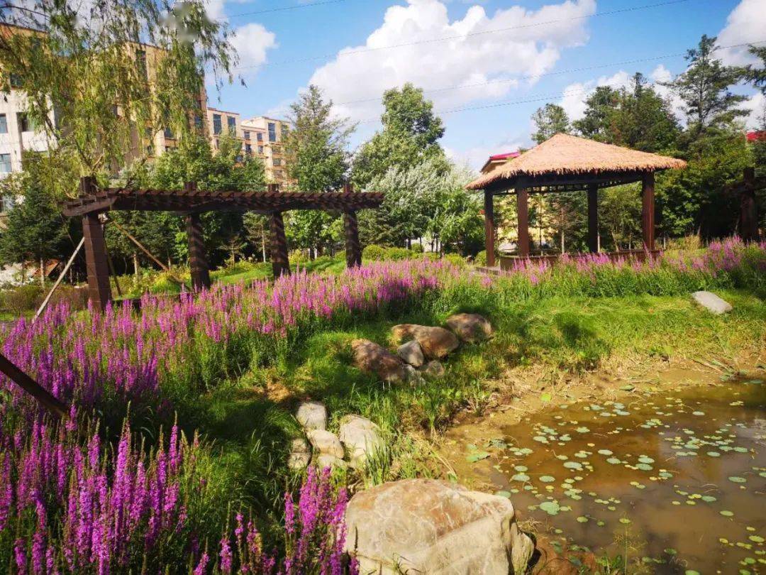 抚松县松江河镇绿化美化提升工程点亮旅游名城颜值