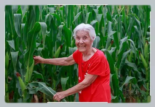 可敬的老人图记同事王志永的祖母