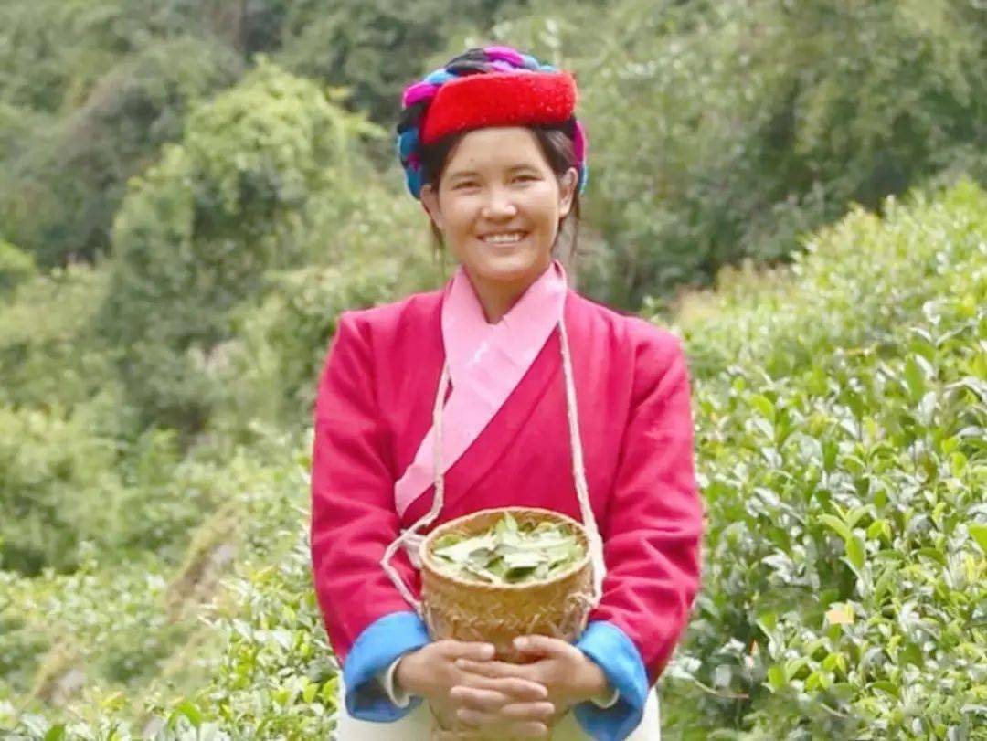 门巴族主要分布在西藏东南部的门隅地区以及墨脱,错那,隆子等县.