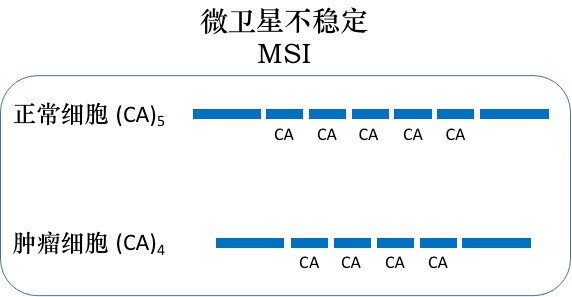 别再搞不清楚 msi 了,快收下这本《微卫星不稳定百科全书》