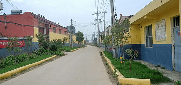 遂平县常庄镇大王庄村:美化人居环境 助力脱贫攻坚