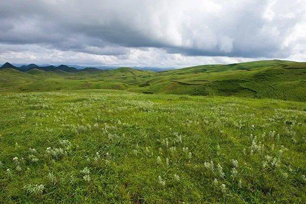 文旅资讯到黑巴放牧一片草场仰望一片星空