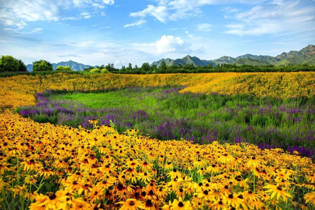 线路:京藏高速入西关环岛往昌赤路方向入石梨路后进入双龙山路行驶2