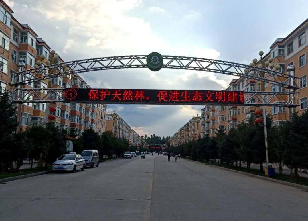 林区新闻亚布力林业局有限公司关开展天然林保护重大意义宣传月活动