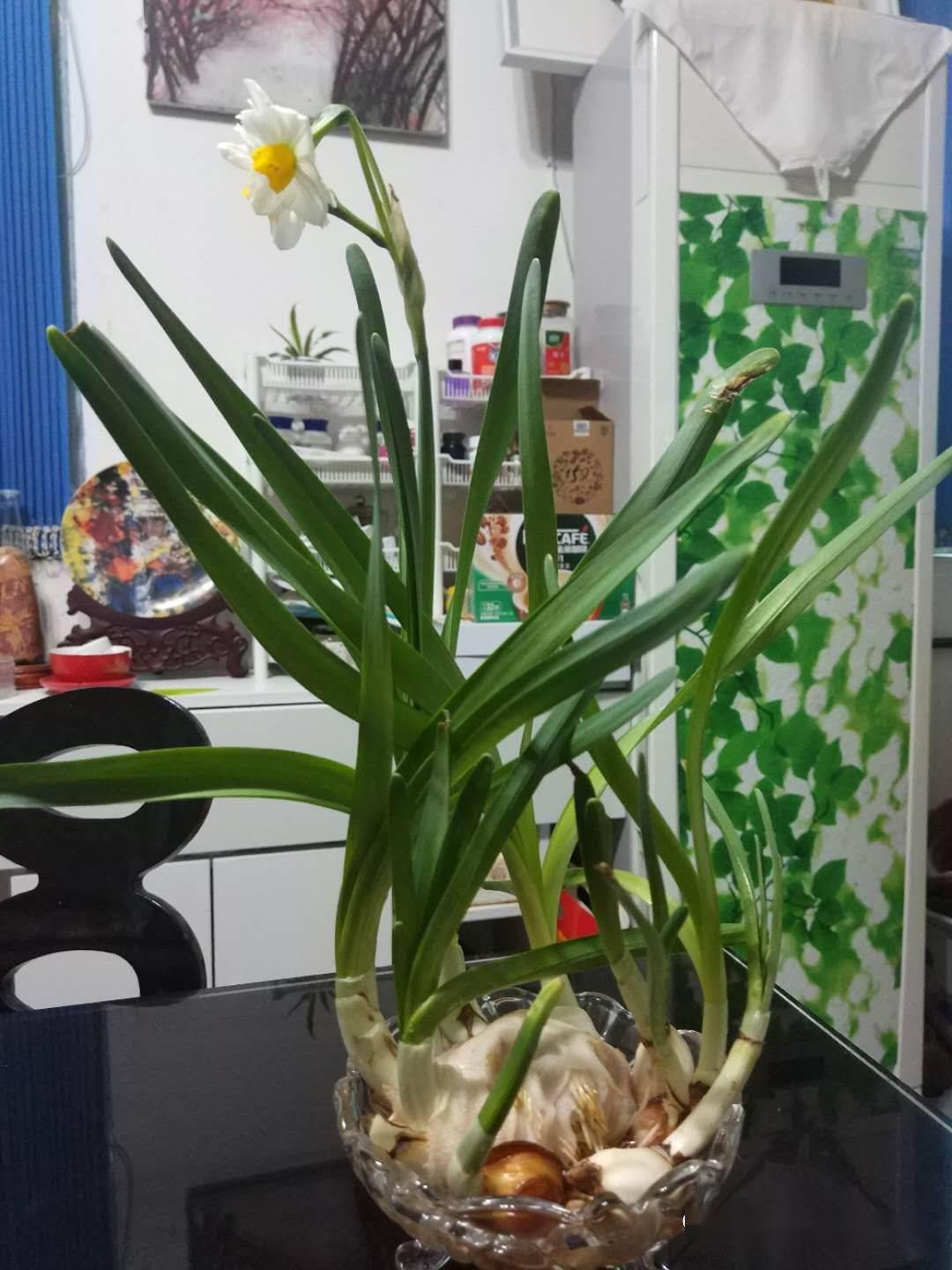 非常时期陈沫让我陪你花开一季伴你渡过非常时期