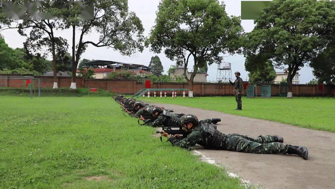 爱国情奋斗者甘文涛从全能枪王到金牌教练