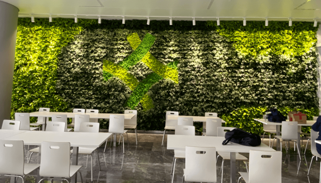 绿植墙该如何设计