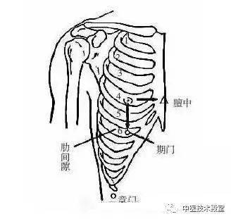 期门(肝之募穴)定位:乳头直下,第6肋间隙,前正中线旁开4寸.