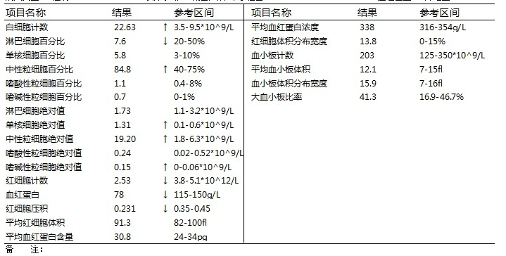 中性粒細胞絕對值,中性粒細胞百分比,單核細胞絕對值,嗜鹼性粒細胞