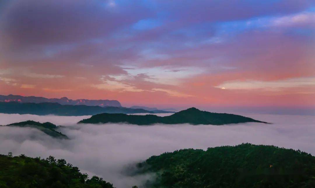 壯觀崖頭雲海榮登中國日報英文版