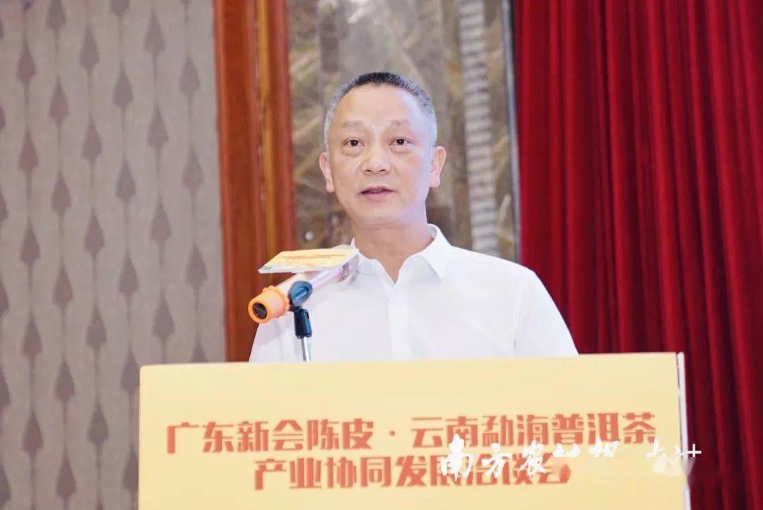 【扶贫协作】以茶为媒,新会陈皮与勐海普洱喜结良缘,东西扶贫协作再上