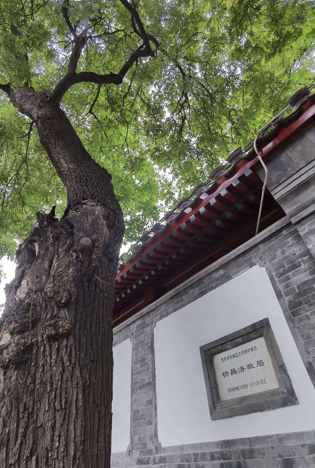 立秋:一口松茸一口秋