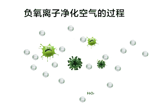 立秋 ▎秋月厨房里的小确幸!