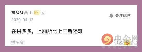 拼多多的厕所上了热搜 996 的大厂员工没有如厕自由 网文选读 第3张