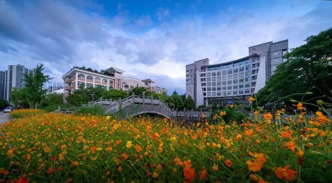 丽水学院2020年报考指南请收好!_浙江省