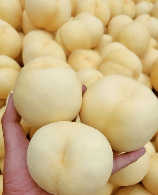 白玉蜜桃脆甜多汁,29.9元顺丰包邮!