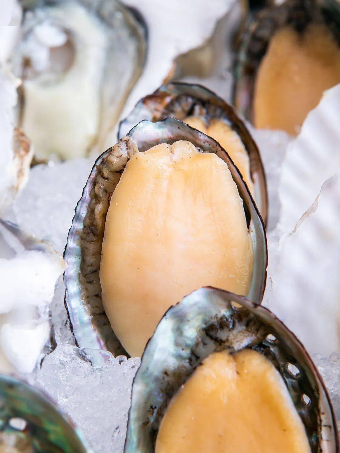 安格斯谷饲牛上脑,安格斯谷饲大米龙谷饲牛胸肉,谷饲牛牡蛎.