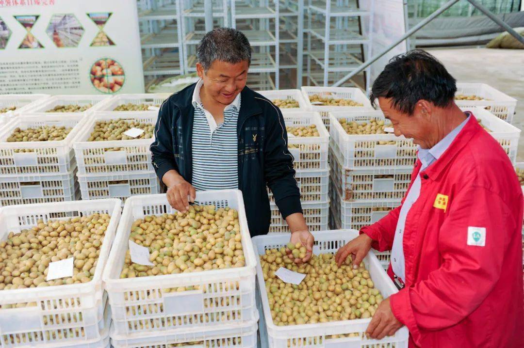 定边县钟子俊图片